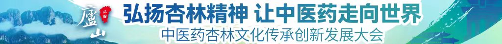 操黑逼视频中医药杏林文化传承创新发展大会